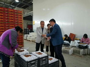 周至縣“優質服務提升年”活動深入開展 經貿局局長陳三選走訪聚仙食品并指導文化藝術交流