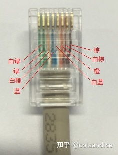 網線選購完全指南 知識科普與品牌推薦